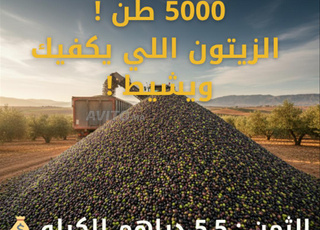 5000 طن الزيتون الذي يكفيك و يفيض