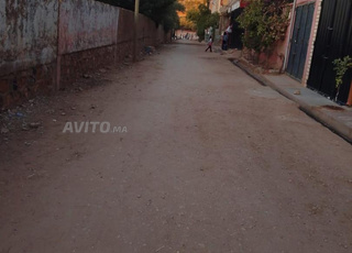 Terrain à Jamaat Fam El Ansar, superficie de 100 mètres carrés