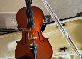 Violon 4/4 marque Super Lark
