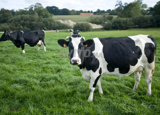 Opportunité à ne pas manquer : terrain agricole à vendre à un prix très attractif