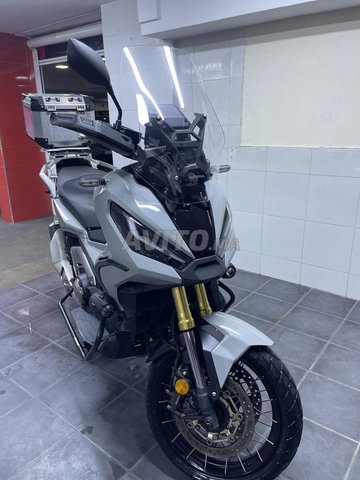 xadv honda