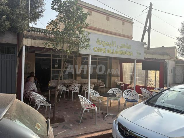 Villa de 520m² avec café, jardin, local commercial - 2