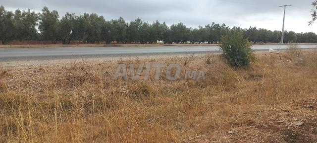 1 هكتار محفظ على الطريق لمشروع