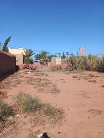 Terrain à vendre | Constructible | 16 km de Marrakech