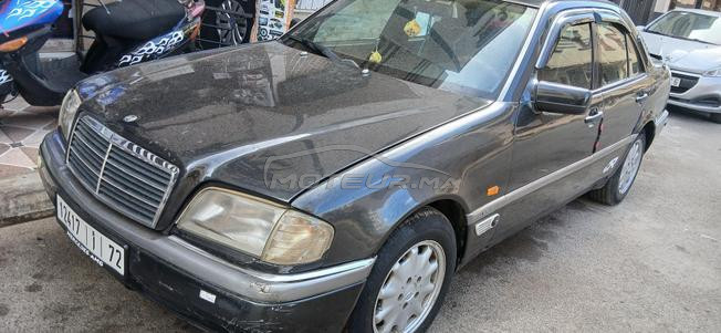 Mercedes avender 