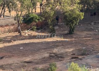 أرض للبيع بمساحة 251 متر مربع في عين الدياب