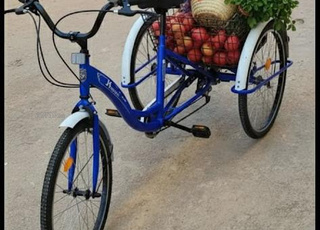 دراجة ثلاثية العجلات