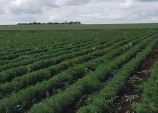 Terrain agricole de 5 hectares à vendre Urgente