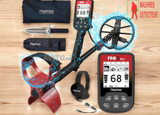 DÉTECTEUR DE MÉTAUX