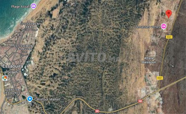 Terrain titré à vendre – 2 700 m² à Essaouira - 2