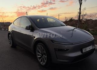 TESLA Y DUAL MOTOR Serie launch