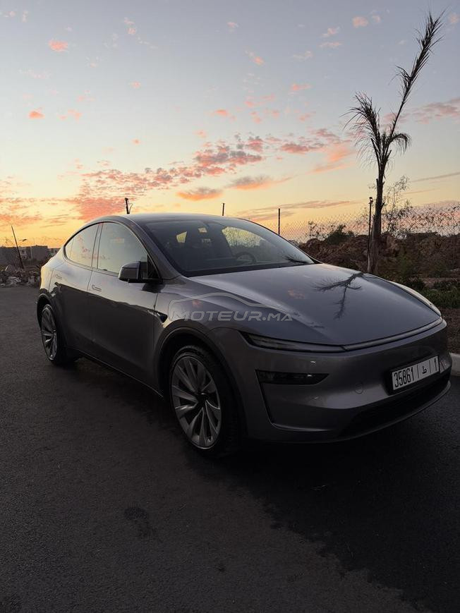 TESLA Y DUAL MOTOR Serie launch 