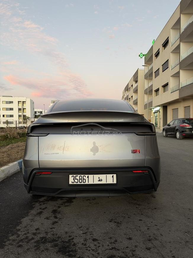 TESLA Y DUAL MOTOR Serie launch 