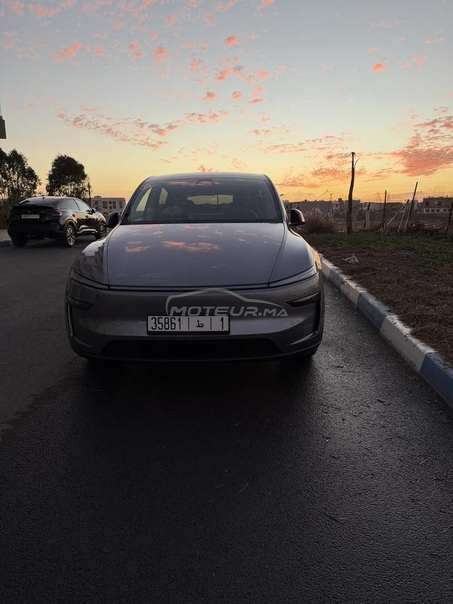 TESLA Y DUAL MOTOR Serie launch 