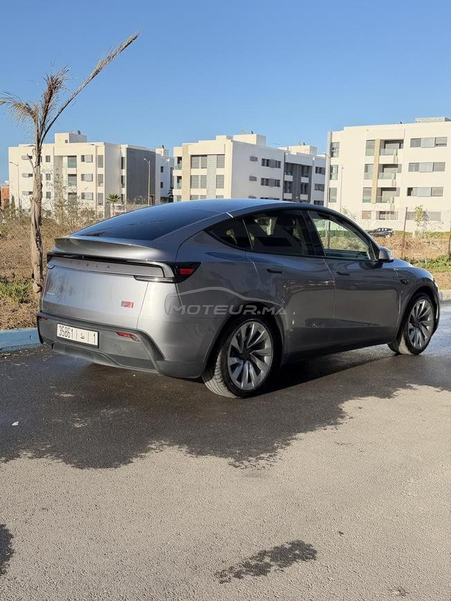 TESLA Y DUAL MOTOR Serie launch 