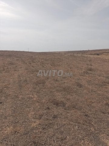 1 hectare et demi, propriété privée près de Tiflet, 30 millions