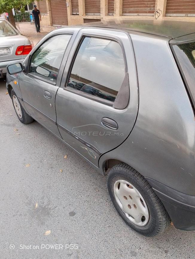 palio gris 