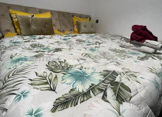 Appartement très chic pour les vacances