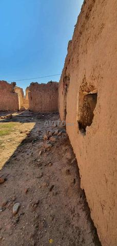 Terrain de 2540m2 avec une maison de plain-pied à vendre - 2