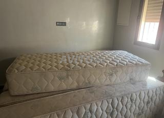 أزلي الجنوبي 325