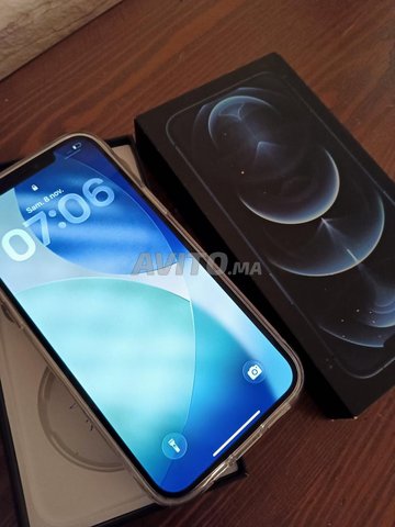 iphone 12 pro max 256g