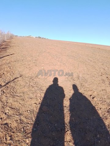 Terrain à vendre 3 Khaddama près de Tiflet, électricité, 12 millions