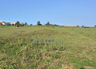 Terrain nu 14 hectares à Aghblou