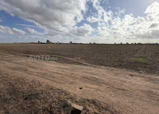 12000 mètres Terrain dans un emplacement stratégique à vendre
