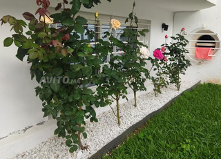 Excellente opportunité à saisir