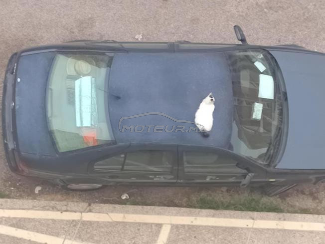 golf bora 2000