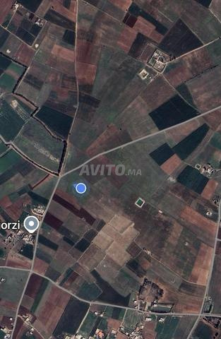 11 hectares agricoles titrés dans un emplacement stratégique - 2