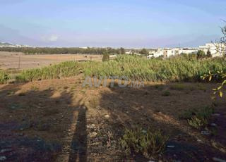 قطعة أرضية مخصصة للفيلات بإطلالة رائعة