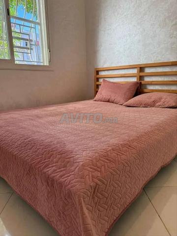 شقة 250 درهم لليوم