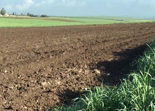 Terrain agricole province de settat 2 hectares