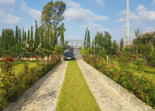 Ferme 2500m² avec maison neuve à Tiflet