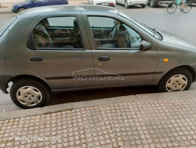 palio gris 