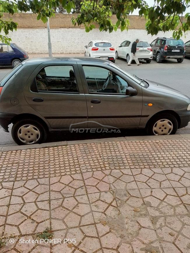 palio gris 