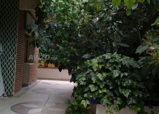 Villa à vendre à Lacienda