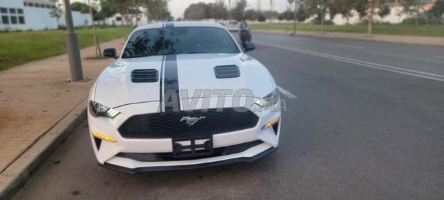 2021 فورد موستانج إيكوبوست، إصدار خاص