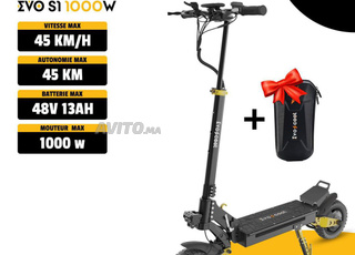 trottinette -S1 -45km/v -45km/autonomie -1000w
