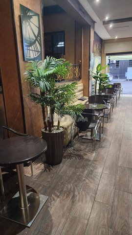 Chaise de luxe pour café