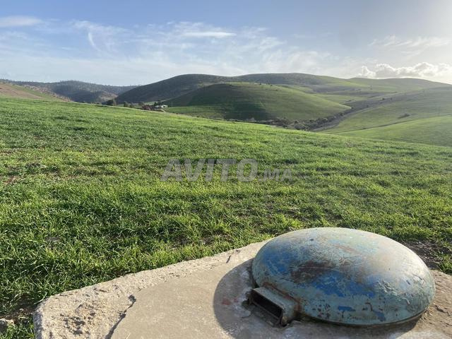 أرض فلاحية للبيع على الشياع محفظة مسجلة titré - 2