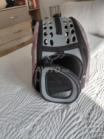 حقيبة نقل قطط