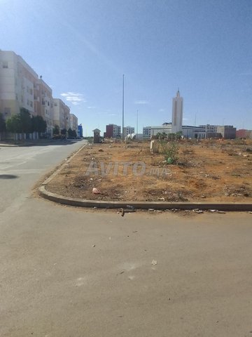 بقعة شوكة تجارية شارع 20 متر حي اليانس