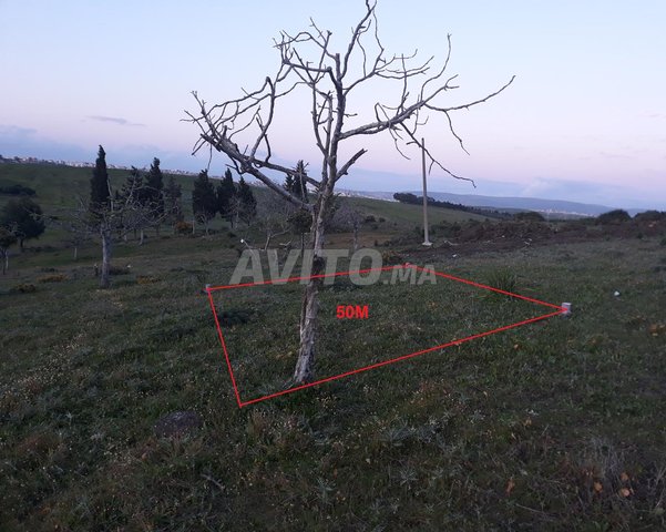 Terrain à Ajznaya Badrioun