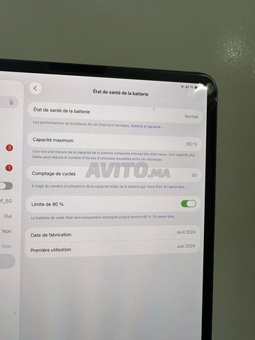 iPad Pro M4 256G Wi-Fi/ Cellular