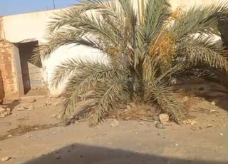 Douar Bouassida, environs de Ouled Teima