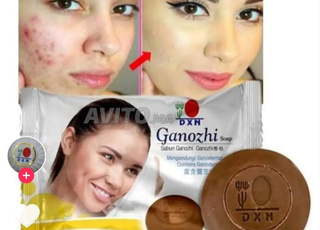 مراكش المدينة