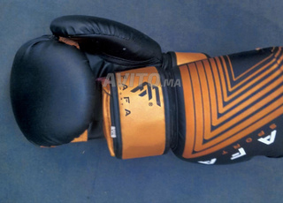 Gants de boxe FAFA SPORT en excellent état