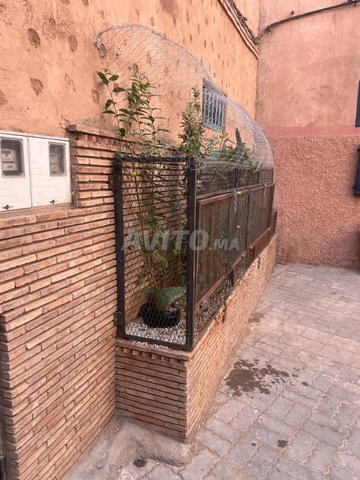 Maison / Riad pour investissement